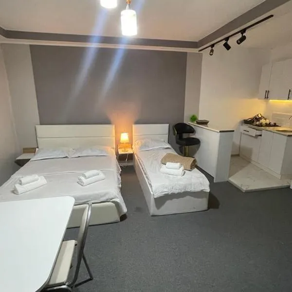 Hotel flamingo,位于卡兹贝吉的酒店