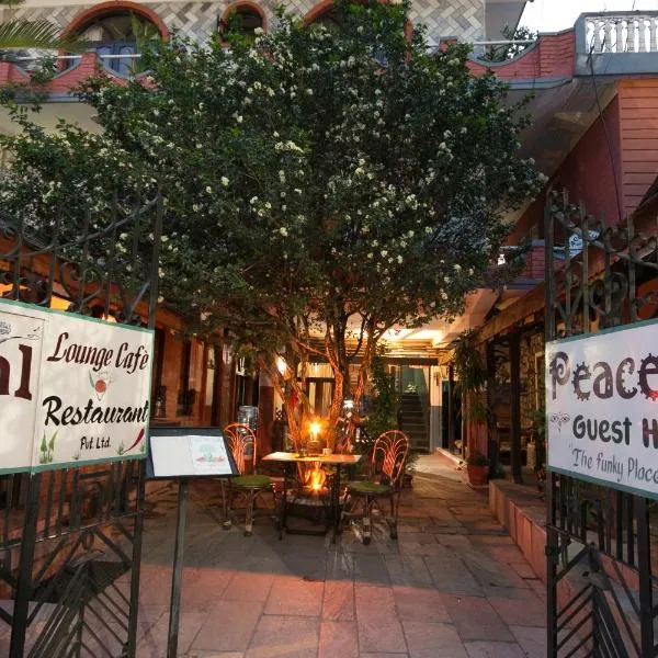 Peace Eye Guest House, hotel in Pokhara