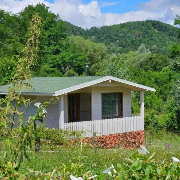 Căsuțele bucuriei, hotel di Pucioasa