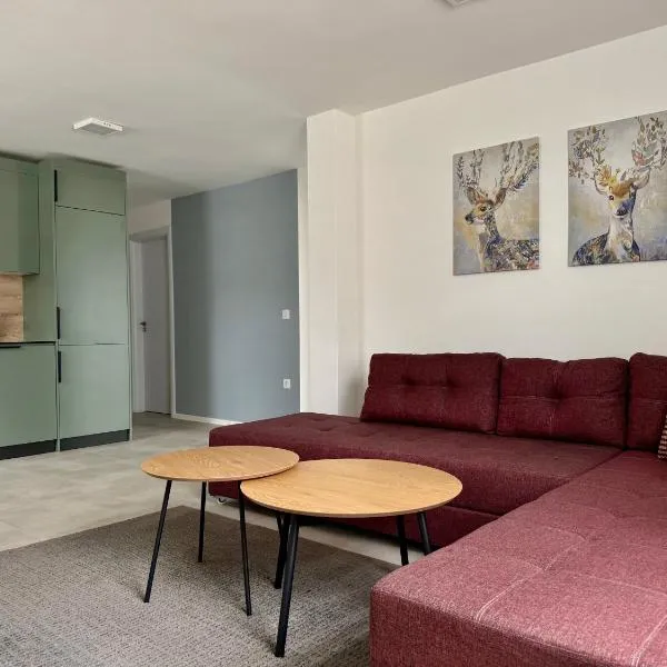 Natura Apartments, hotel in Kranj