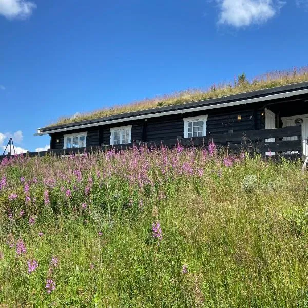 Hytte med panoramautsikt i Uvdal، فندق في Nørdstebø