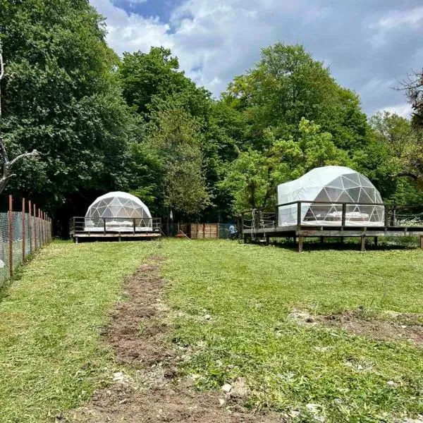 Nikorstminda glamping - Batoni's forest, hotel v destinaci Ambrolauri