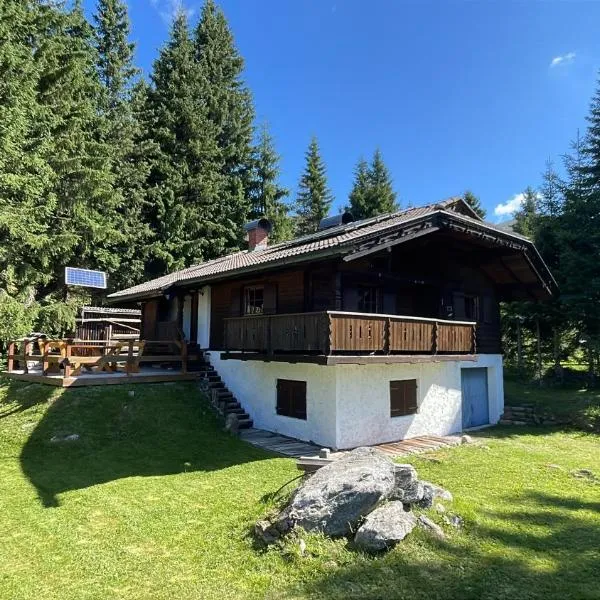 Hüttenzauber Oberbergeralm, ξενοδοχείο σε Sankt Georgen bei Neumarkt