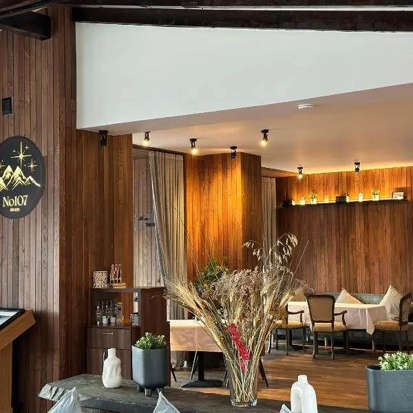 No 107 Predeal,位于普雷代亚尔的酒店