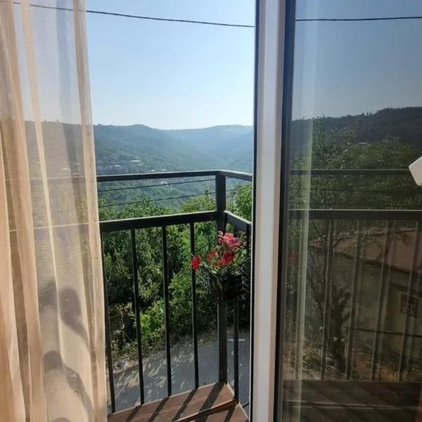 Guest House Horizonti, hotel v destinaci Signagi