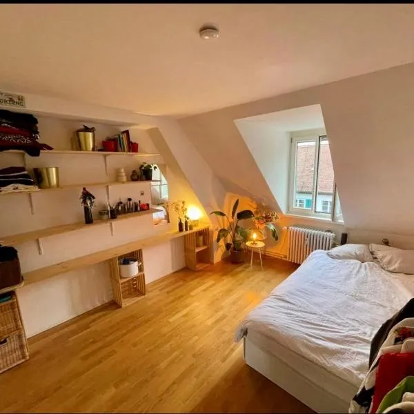 Cosy room in attic flat in the center of Zurich, ξενοδοχείο στη Ζυρίχη