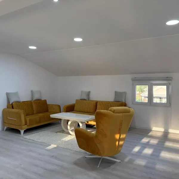 Apartman Nadja, Hotel in Podgorica