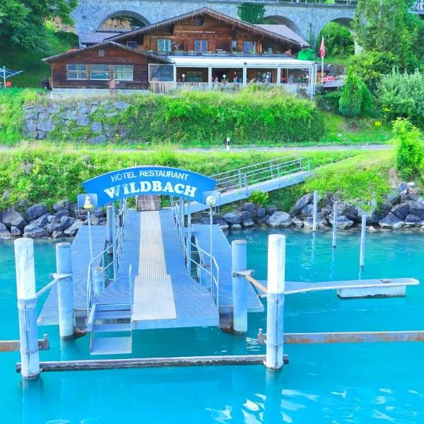 Hotel Wildbach Brienz, hotel di Brienz