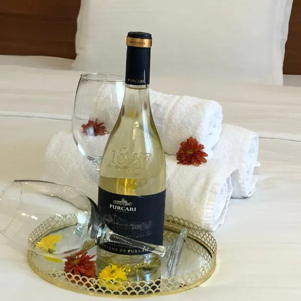 Hotel Premier Botosani, hotel in Botoşani