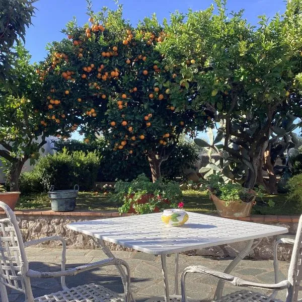 Casetta Minghitto Relaxing rooms in Capri, hotel in Anacapri