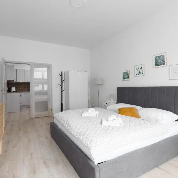 Apartment with 2 bedrooms with kitchen near metro, hotel v Praze