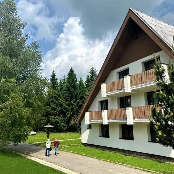 Hotel Horník, hotel in Žďár nad Sázavou
