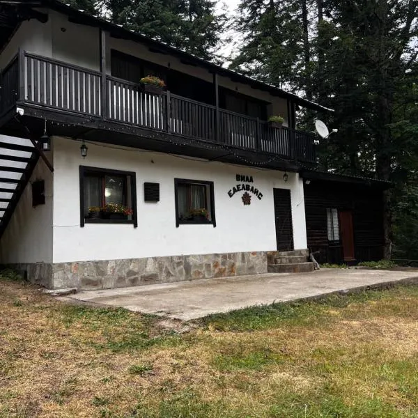 Вила Еделвайс, Hotel in Dobrinischte