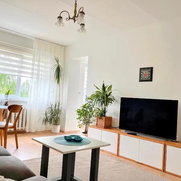 Vabaduse apartment，位于沃鲁的酒店
