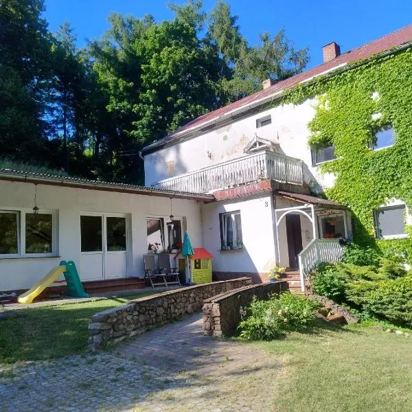 Villa Górski Spokój, Hotel in Srebrna Góra