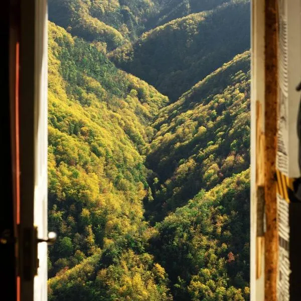 K7 Knowledge Temple, hotell sihtkohas Kapan