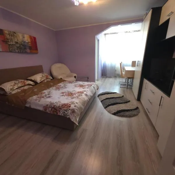 Garsoniera-studio in Zalău, ξενοδοχείο σε Ζαλάου