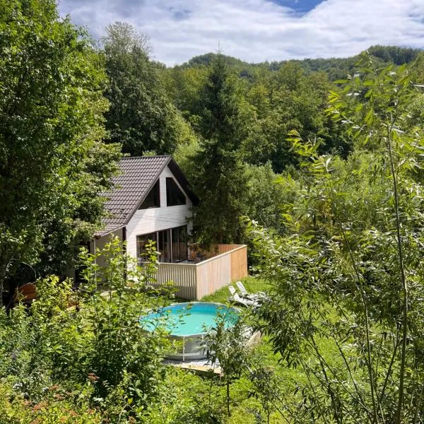 Sonna, hotel in Pidzakharychi