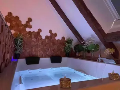 Love Room pour une escapade romantique avec Spa privatif, ξενοδοχείο στη Μπουρζ
