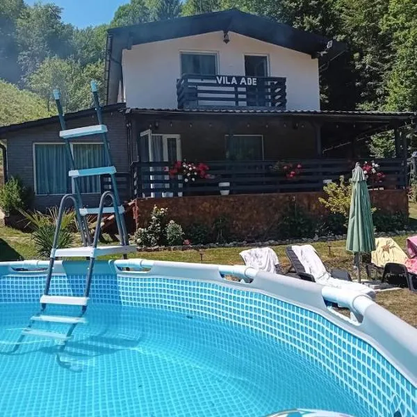 VILA Ade, Hotel in Padeş
