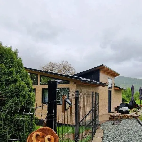 Casa nouă, hotel in Vişeu de Sus