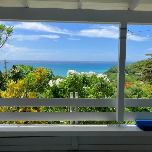 Paradise View at Halcyon Heights l Stunning Ocean View 1BR l 10 minute walk to the Beach, hotel a Dickenson Bay