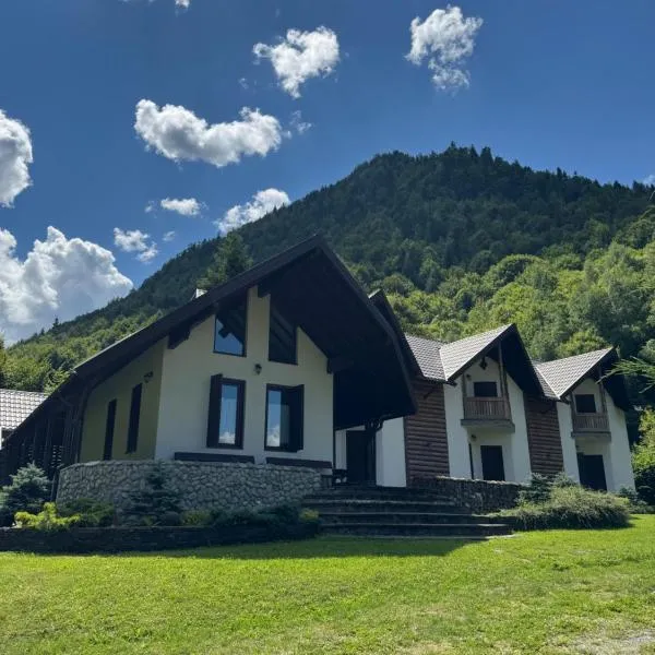 Cabana La Poarta Codrului、モイセイのホテル