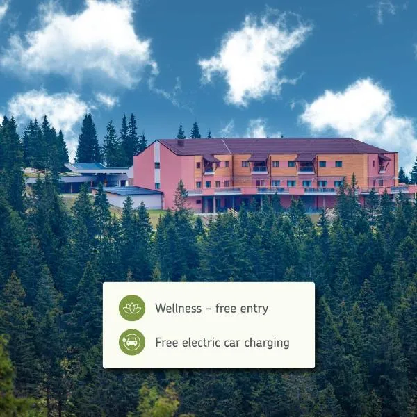 Hotel Natura，位于兹雷切的酒店