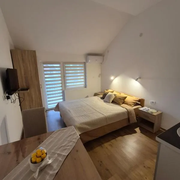 Oaza studio 1, hôtel à Sokobanja