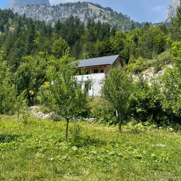 Guest hause Artanii, hotel in Valbonë
