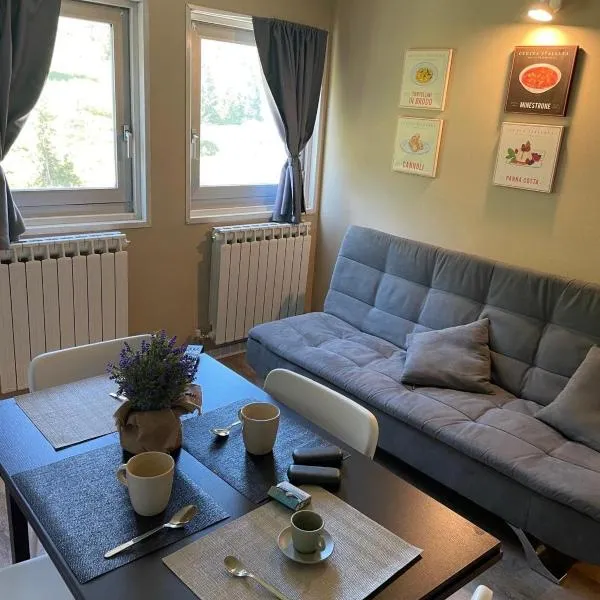 Ski Apartment, hotel v destinaci Passo del Tonale