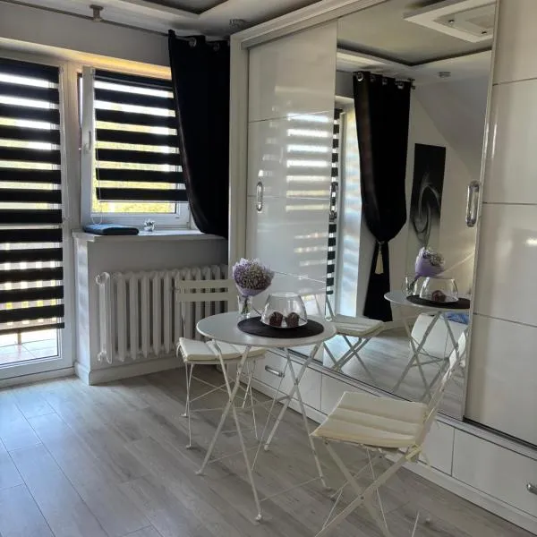 Rooms near Balice airport, hotel v destinaci Cholerzyn
