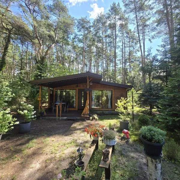 HomeWood - Popowo Letnisko, hotel in Gąsiorowo Duże