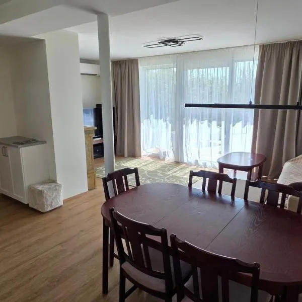 Pihtla põik külalistemaja apartment #1, hotel in Kuressaare