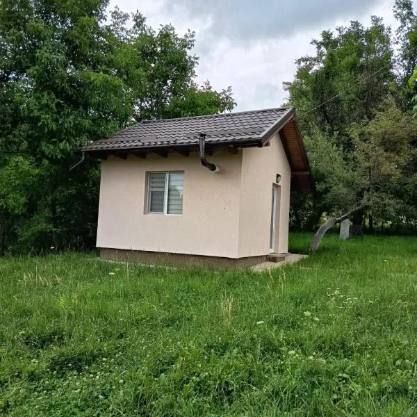 Garden Tiny House, hotell i Cîmpulung