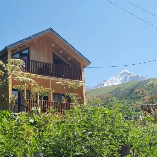 Vista Adishi, hotel a Adishi
