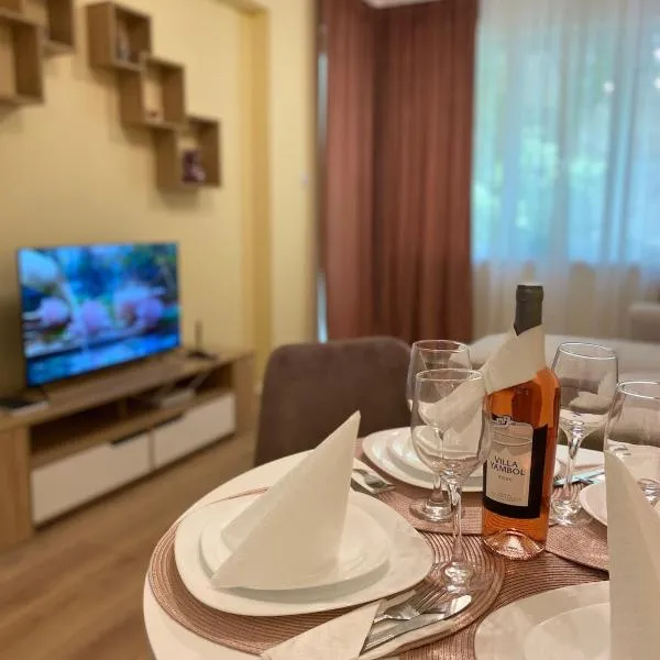 Guest Apartment Kristi, Hotel in Stara Sagora