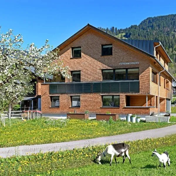 Haus Bianca, ξενοδοχείο σε Schoppernau