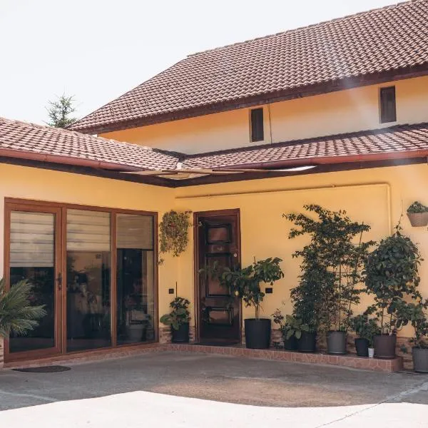 Hills Villa, hotel in Călimăneşti