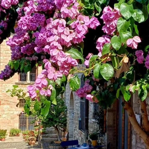 La Bouganville, hotel sa Assisi