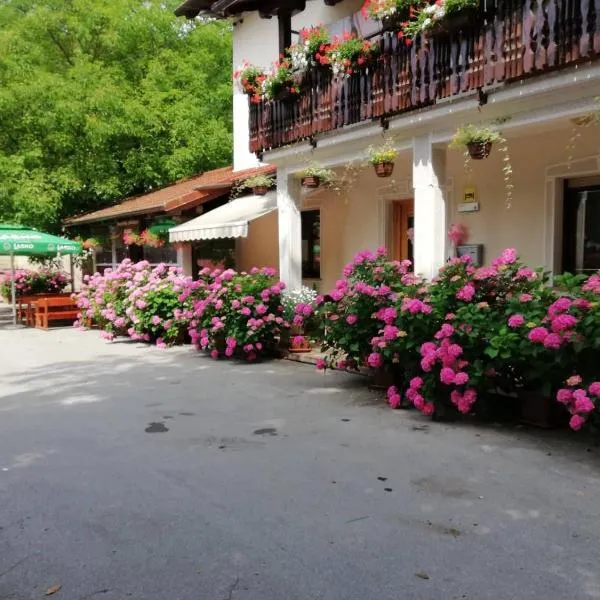 Domačija Bubec, hotel in Ilirska Bistrica