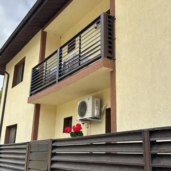 Vila Lory, hotel in Vaslui