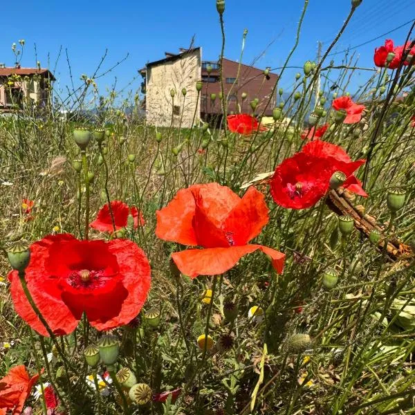 Stenata LightWill, hotel v destinaci Banja