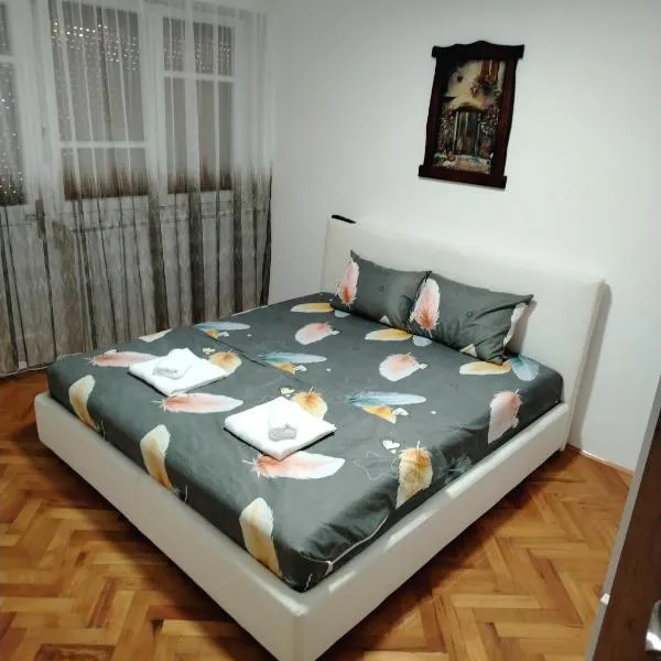 Apartman Zdravković, ξενοδοχείο σε Leskovac