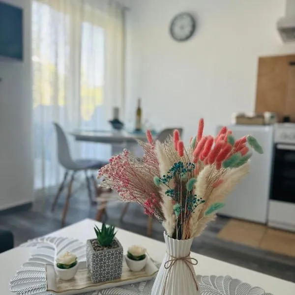 Apartments Tijana, hotel in Tivat