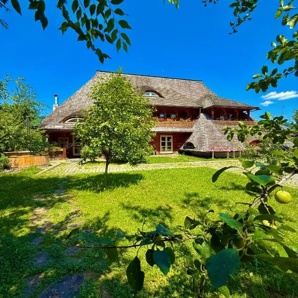 Pensiunea Iza, khách sạn ở Vişeu de Jos