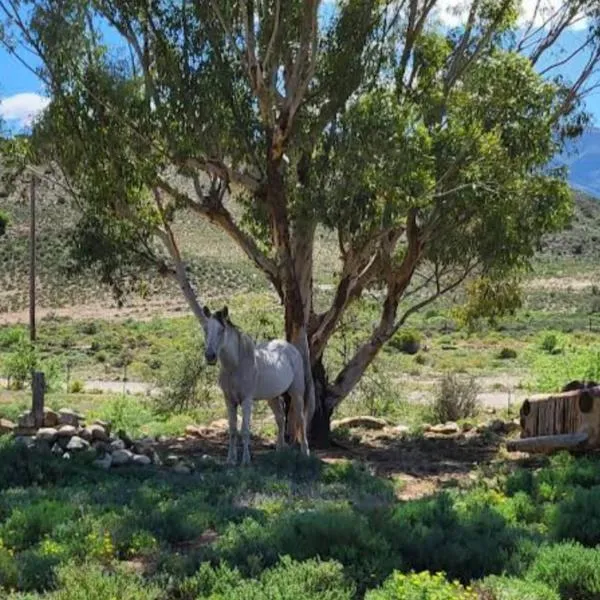 Rocky Sands - Klein Karoo R62, hotel in Plathuis