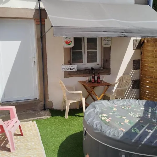 le petit cosy terrasse et spa, hotel in Petersbach