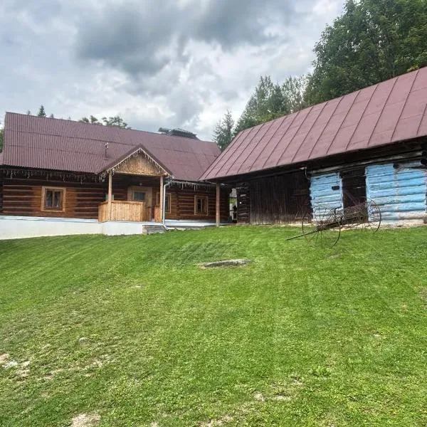 Švajkova chyža, hotel v destinaci Šumiac