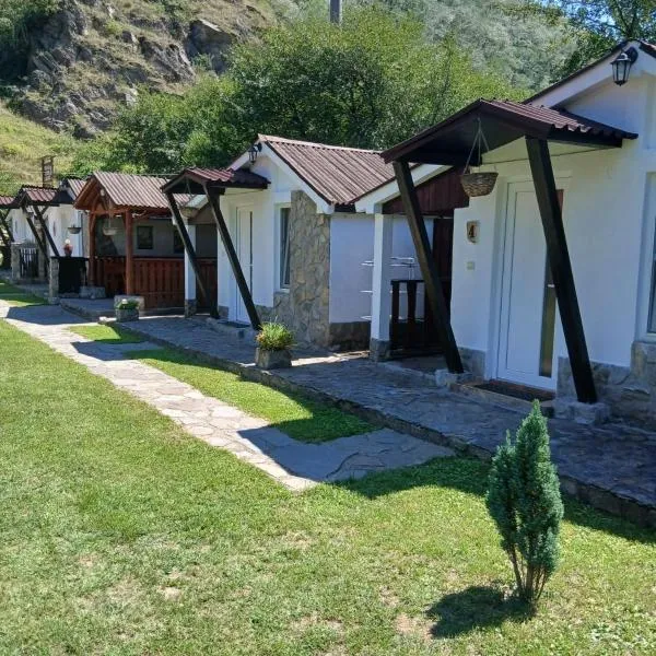 Terasa Alex, hôtel à Căpîlna